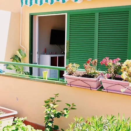 Residencial Halcon * طوستا ديل سيلونثيو