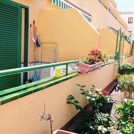 Residencial Halcon * طوستا ديل سيلونثيو